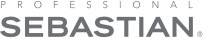 Proffessional Sebastian Logo